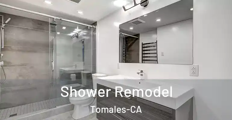 inner Bathroom imggen Shower Remodel Tomales-CA