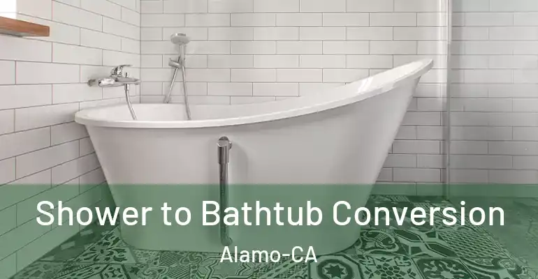 inner Bathroom imggen Shower to Bathtub Conversion Alamo-CA