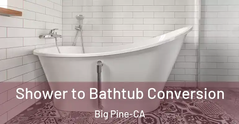 inner Bathroom imggen Shower to Bathtub Conversion Big Pine-CA