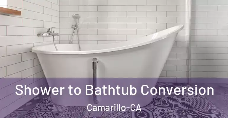 inner Bathroom imggen Shower to Bathtub Conversion Camarillo-CA