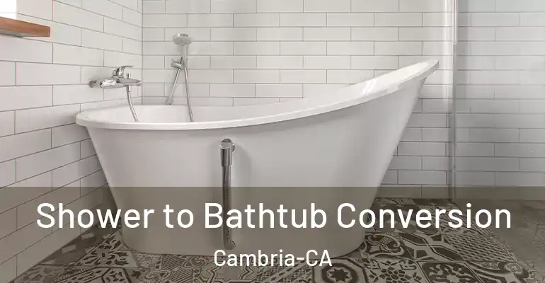 inner Bathroom imggen Shower to Bathtub Conversion Cambria-CA