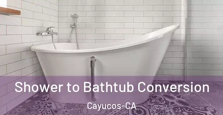 inner Bathroom imggen Shower to Bathtub Conversion Cayucos-CA