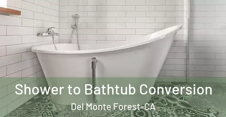 inner Bathroom imggen Shower to Bathtub Conversion Del Monte Forest-CA