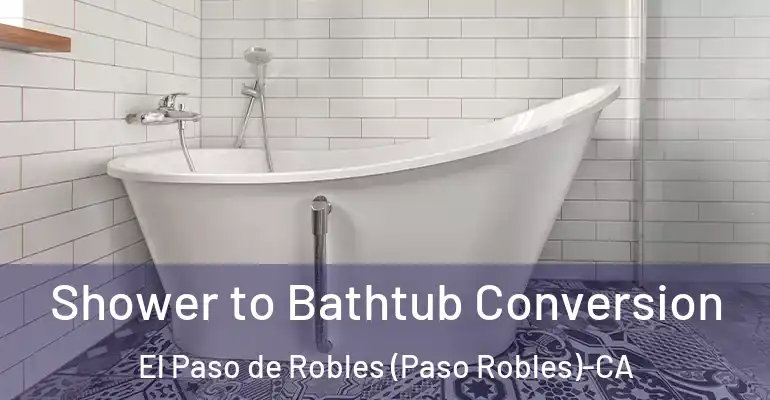 inner Bathroom imggen Shower to Bathtub Conversion El Paso de Robles (Paso Robles)-CA