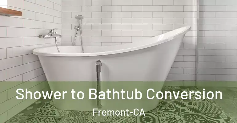 inner Bathroom imggen Shower to Bathtub Conversion Fremont-CA