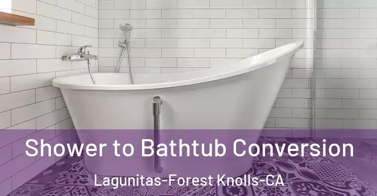inner Bathroom imggen Shower to Bathtub Conversion Lagunitas-Forest Knolls-CA