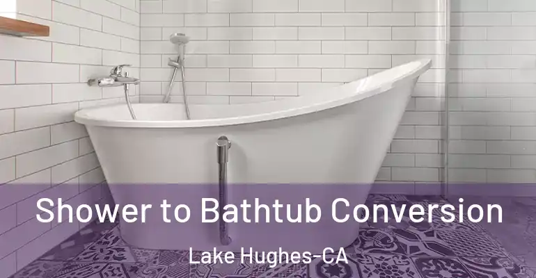 inner Bathroom imggen Shower to Bathtub Conversion Lake Hughes-CA