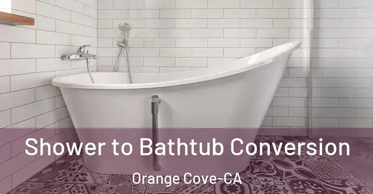 inner Bathroom imggen Shower to Bathtub Conversion Orange Cove-CA