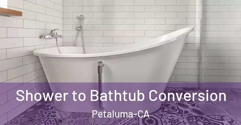 inner Bathroom imggen Shower to Bathtub Conversion Petaluma-CA