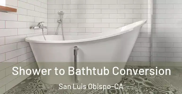 inner Bathroom imggen Shower to Bathtub Conversion San Luis Obispo-CA