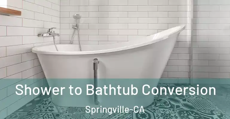 inner Bathroom imggen Shower to Bathtub Conversion Springville-CA