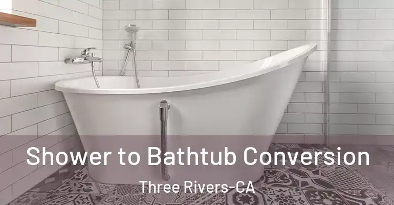 inner Bathroom imggen Shower to Bathtub Conversion Three Rivers-CA