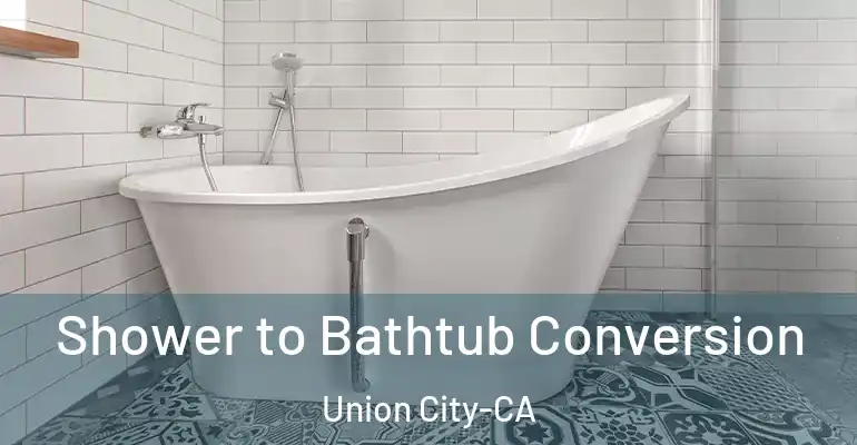 inner Bathroom imggen Shower to Bathtub Conversion Union City-CA