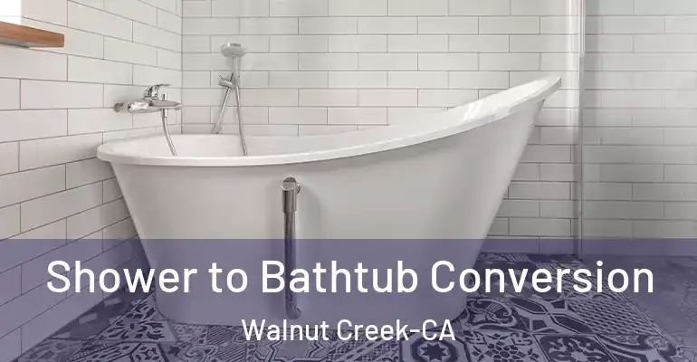 inner Bathroom imggen Shower to Bathtub Conversion Walnut Creek-CA