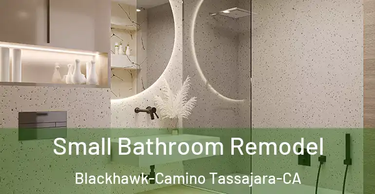 inner Bathroom imggen Small Bathroom Remodel Blackhawk-Camino Tassajara-CA