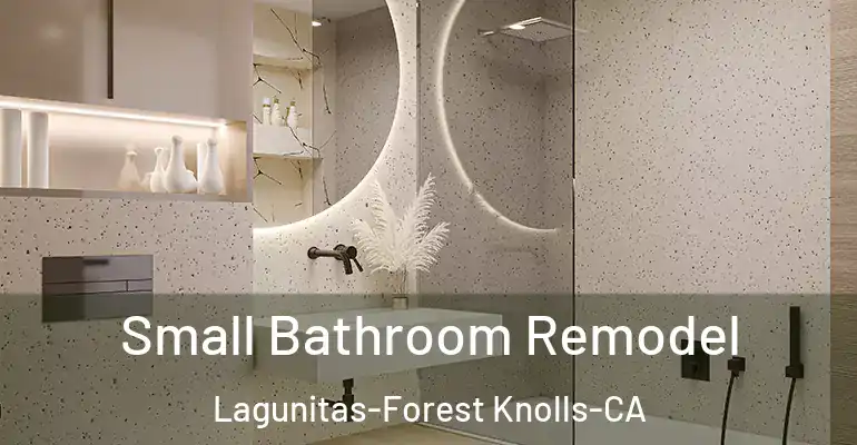 inner Bathroom imggen Small Bathroom Remodel Lagunitas-Forest Knolls-CA