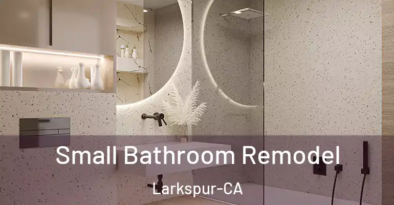 inner Bathroom imggen Small Bathroom Remodel Larkspur-CA