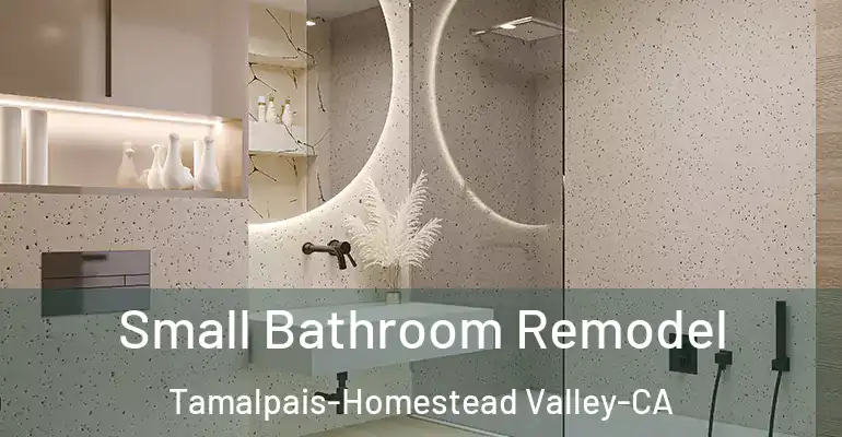 inner Bathroom imggen Small Bathroom Remodel Tamalpais-Homestead Valley-CA