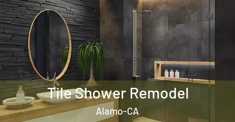inner Bathroom imggen Tile Shower Remodel Alamo-CA