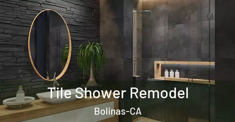 inner Bathroom imggen Tile Shower Remodel Bolinas-CA