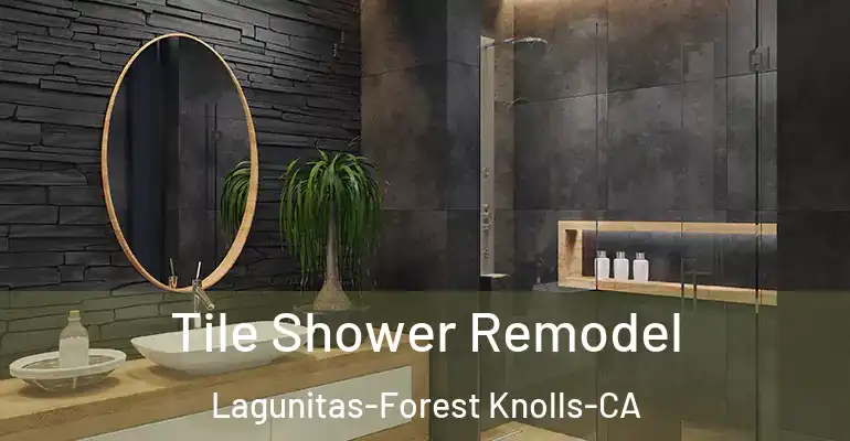 inner Bathroom imggen Tile Shower Remodel Lagunitas-Forest Knolls-CA