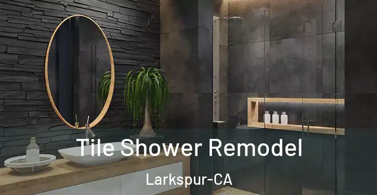 inner Bathroom imggen Tile Shower Remodel Larkspur-CA