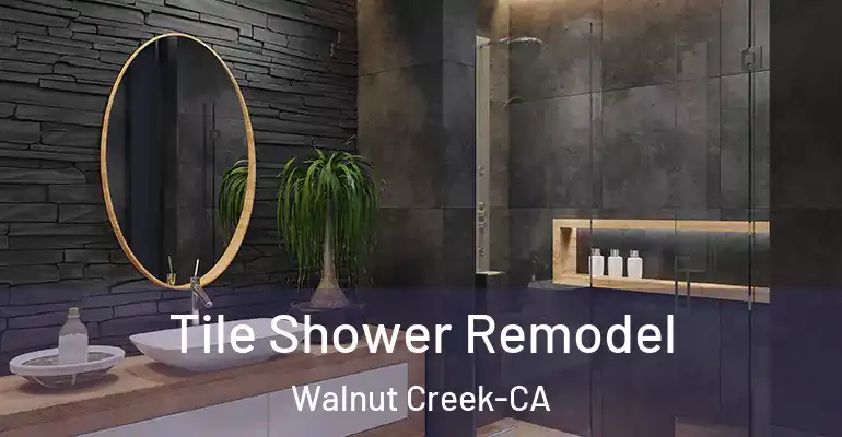 inner Bathroom imggen Tile Shower Remodel Walnut Creek-CA