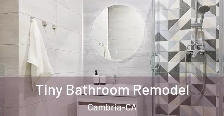 inner Bathroom imggen Tiny Bathroom Remodel Cambria-CA