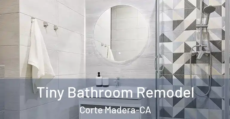 inner Bathroom imggen Tiny Bathroom Remodel Corte Madera-CA