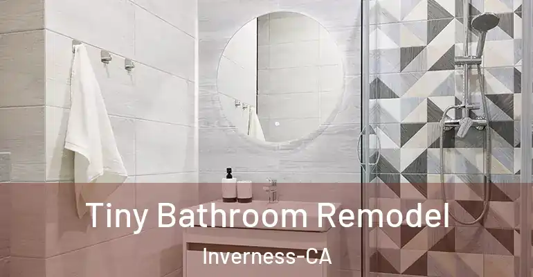 inner Bathroom imggen Tiny Bathroom Remodel Inverness-CA