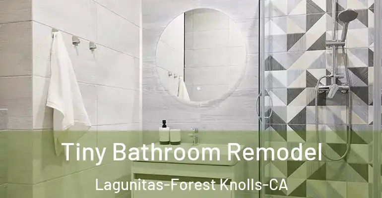 inner Bathroom imggen Tiny Bathroom Remodel Lagunitas-Forest Knolls-CA