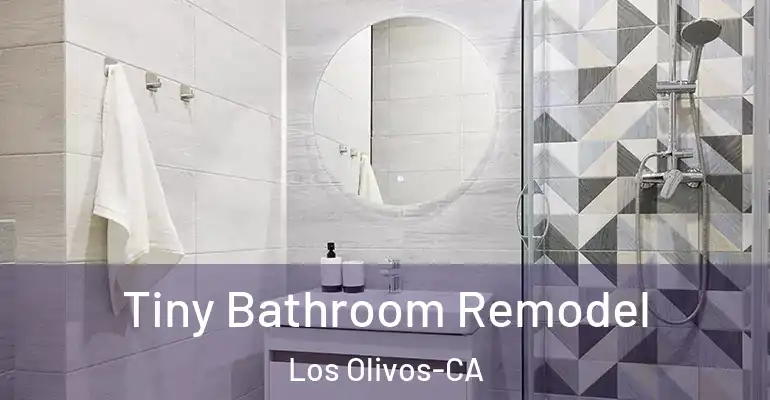 inner Bathroom imggen Tiny Bathroom Remodel Los Olivos-CA