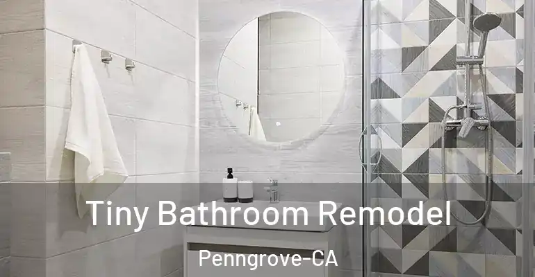 inner Bathroom imggen Tiny Bathroom Remodel Penngrove-CA