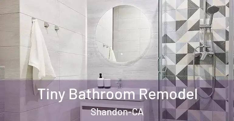 inner Bathroom imggen Tiny Bathroom Remodel Shandon-CA