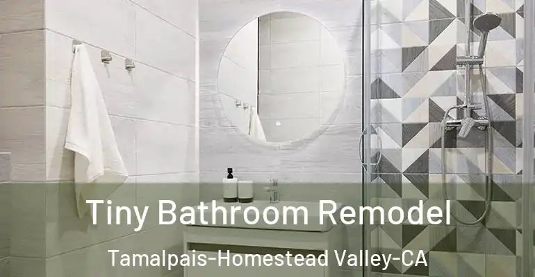 inner Bathroom imggen Tiny Bathroom Remodel Tamalpais-Homestead Valley-CA