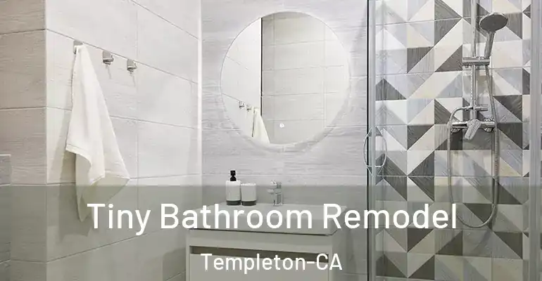inner Bathroom imggen Tiny Bathroom Remodel Templeton-CA