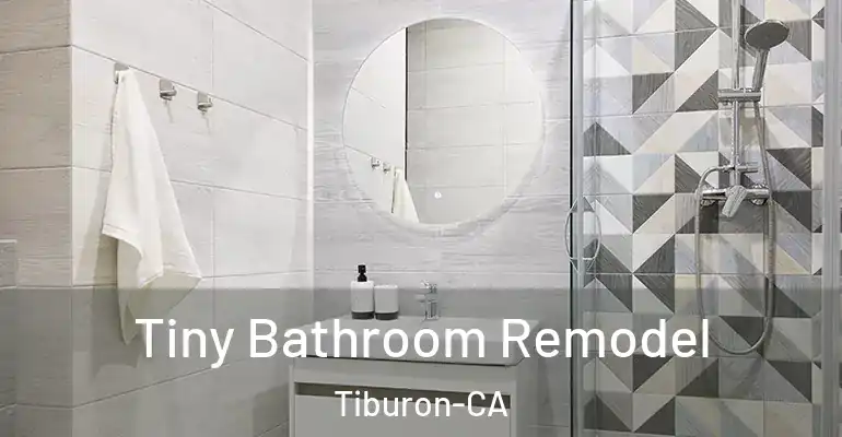 inner Bathroom imggen Tiny Bathroom Remodel Tiburon-CA