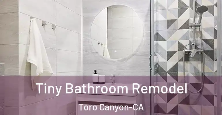 inner Bathroom imggen Tiny Bathroom Remodel Toro Canyon-CA