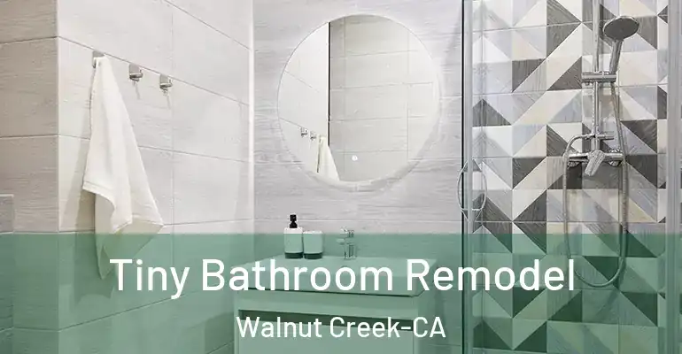 inner Bathroom imggen Tiny Bathroom Remodel Walnut Creek-CA