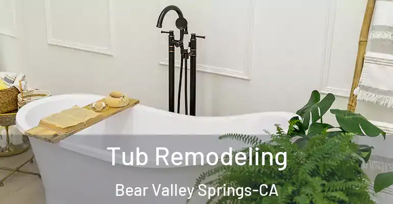 inner Bathroom imggen Tub Remodeling Bear Valley Springs-CA