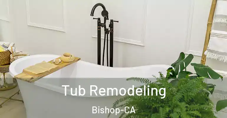 inner Bathroom imggen Tub Remodeling Bishop-CA