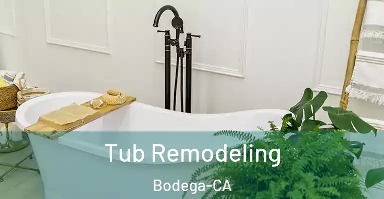 inner Bathroom imggen Tub Remodeling Bodega-CA