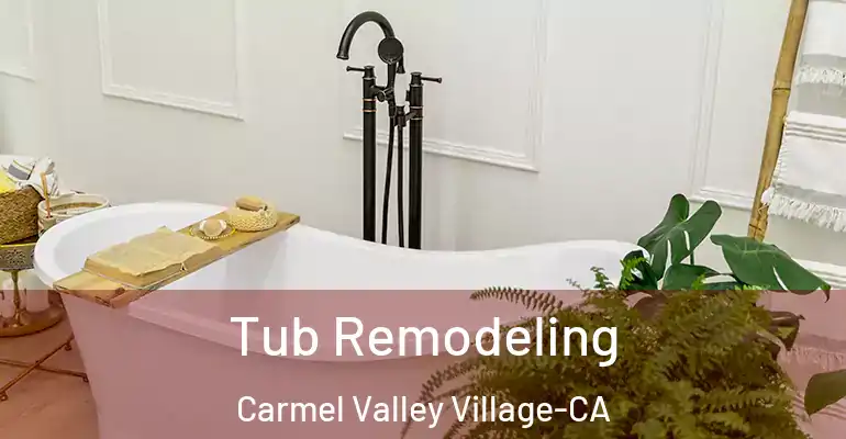 inner Bathroom imggen Tub Remodeling Carmel Valley Village-CA