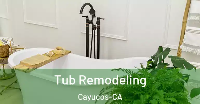 inner Bathroom imggen Tub Remodeling Cayucos-CA