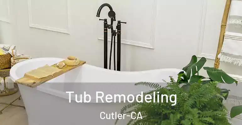 inner Bathroom imggen Tub Remodeling Cutler-CA