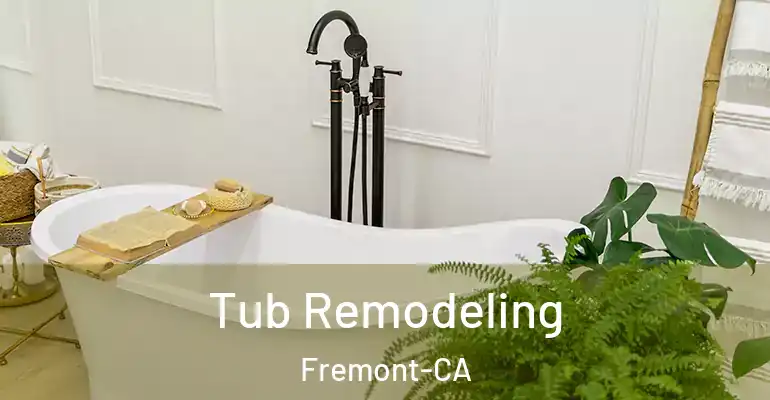 inner Bathroom imggen Tub Remodeling Fremont-CA