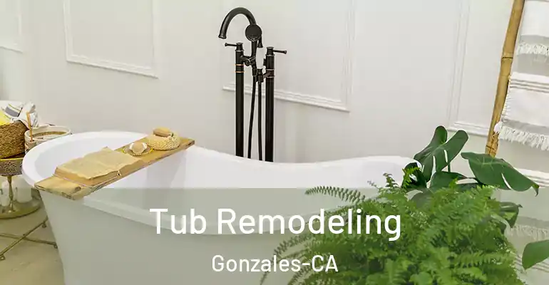 inner Bathroom imggen Tub Remodeling Gonzales-CA