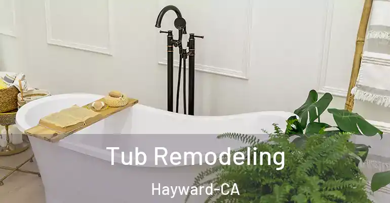 inner Bathroom imggen Tub Remodeling Hayward-CA