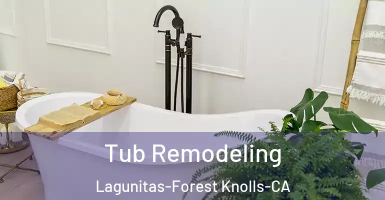 inner Bathroom imggen Tub Remodeling Lagunitas-Forest Knolls-CA