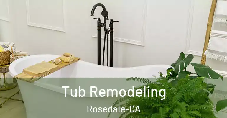 inner Bathroom imggen Tub Remodeling Rosedale-CA